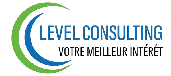 Level Consulting — client Digitorizon